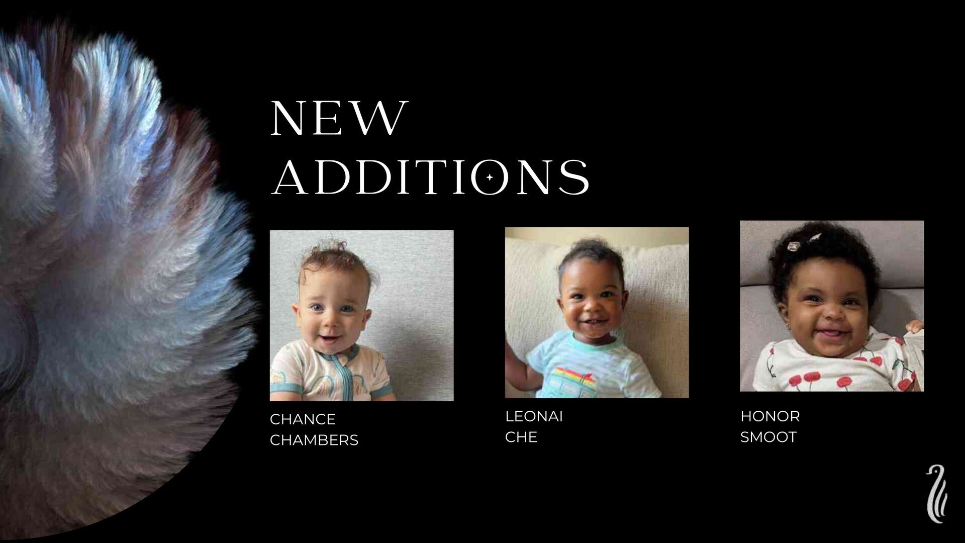 New family additions Chance Chambers, Leonai Che, and Honor Smoot